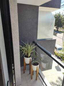 Casuarinas Tandil Dpto