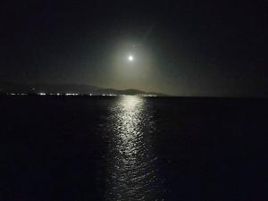 Apartment with private access to the sea