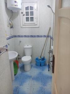 شقة مفروشة في ابوقير