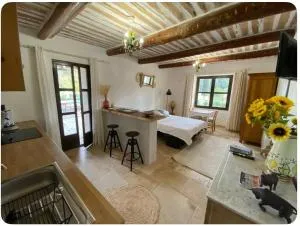 Studio Mas de Papé Verquieres Saint Rémy de Provence - Mollégès