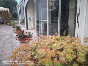 Casa Maddalena family