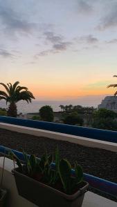 The Pradise of Ana Vemar Exclusive Apartament