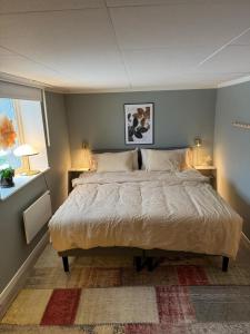 Nyrenoverad 2-rummare med gratis laddning för elbil