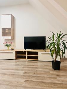 Benemi apartment near city center