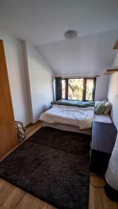 Modern & Cozy 2-BR Apartment