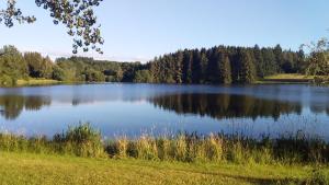 Campings Domaine du Balbuzard : Chalet 1 Chambre
