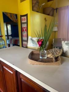 The Howler Jungle House and Cabanas