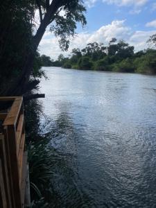 The Howler Jungle House and Cabanas