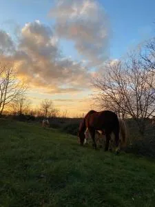 EquiLearn Retreat - Hruševje
