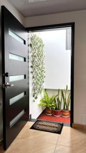 Apartaestudio Chiqui-house