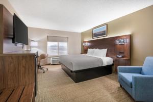 King Room - Non-Smoking room in Quality Inn & Suites