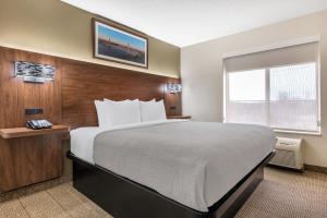 King Suite - Non-Smoking room in Quality Inn & Suites