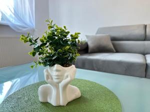 Feel Comfy Apartment