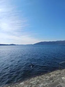 Affitta stanza da Raffa e Paola - Intra