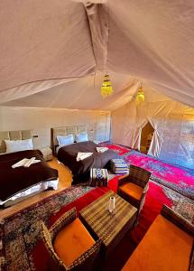 Desert camp camel & sandboarding