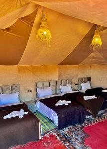 Desert camp camel & sandboarding