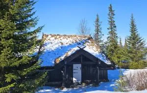 Beautiful Home In Nesbyen With Sauna - Tunhovd