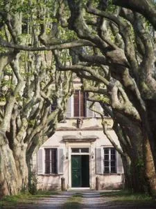 Windrose Casabianca - 科莱萨尔韦蒂