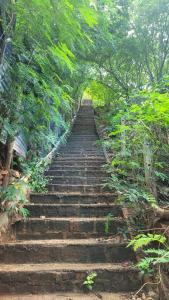 Studio apartment in the mountains