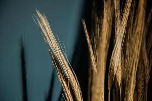 Villas Namaste Home, votre havre de paix a St Remy ! Parking wifi inclus : photos des chambres