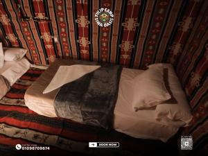 Tulip Camp Siwa Oasis