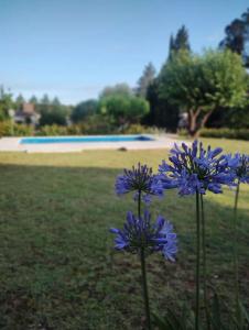 Cabañas La Casita de Fran