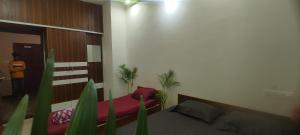 ADH Amilia Nest