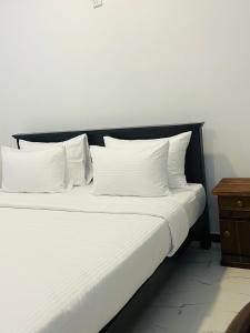 Wild Blossom Sigiriya