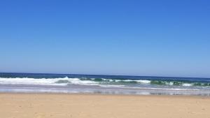 New wooden house 300 m from beach, forest, 1 to 11 people