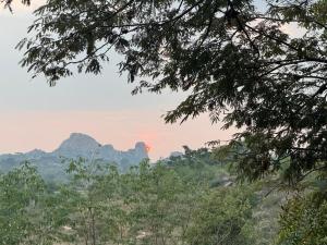 Swa Vana The Designers studio