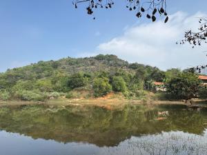 Swa Vana The Designers studio