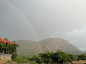 Swa Vana The Designers studio