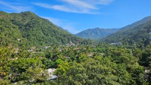 Casa Mismaloya Selva