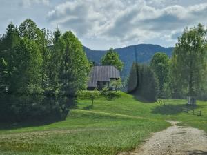 Počitniška hiša Alica 