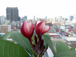 Vinny Boutique Hotel