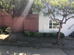 Charming in lawSunset at UCSF