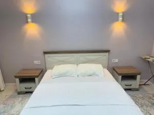 Комфортная 2 комнатная квартира - Abay