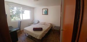 Suite El navegante 2