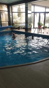 Alpine Lodge Bansko Apartments