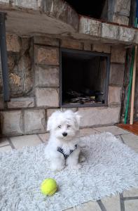 Peaceful retreat beach