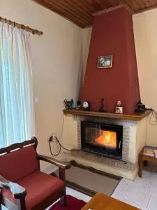 Thanasis house - 安德里塞纳