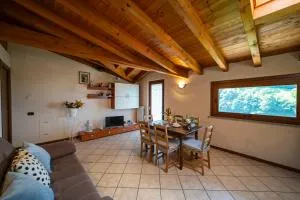 R o c k y -New Sport&Mistic x 6 - Zone