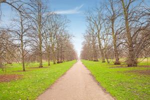 Townhouse Apollo, Hyde Park