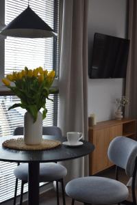 IGIS Apartament z tarasem na dachu