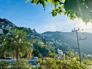 Nhà Trên Mây - Homstay Tam Đảo