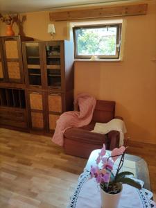 Útulný Apartmán v Centre Detvy