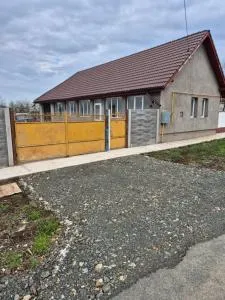 Casa Dana - Topolovăţu Mare