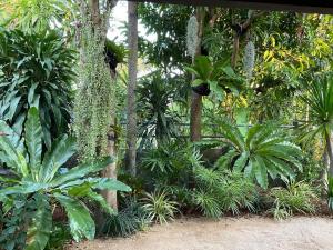 Boutique Beach Cottage - Steps to Beach