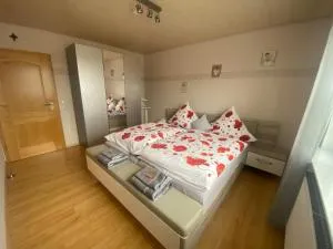 Stadtzentrumnahe Wohnung an der grünen Aue, kostenfreier Parkplatz - Sankt Antoniusheim