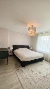 Charming Entire Home Near Amsterdam